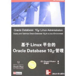 对日软件外包服务 技术挑战、市场机遇与成功之道