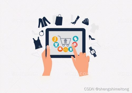 SaaS浪潮下的专业力量 以四川盛通美华为例看软件外包服务的前途